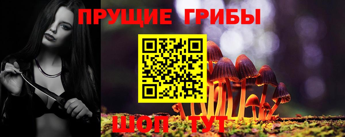 Псилоцибиновые грибы ЛСД Димитровград