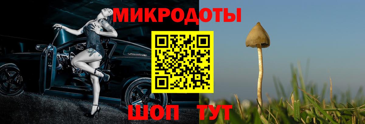 Димитровград  наркота  Вход с VPN  Галлюциногенные грибы мицелий 